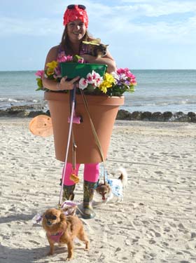 Pet Masquerade and Parade 2012 photo - Duval Street, Key West